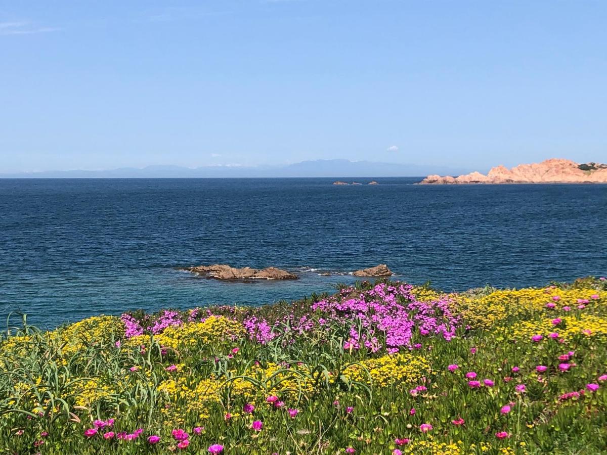 Borgo Spiaggia Isola Rossa Eksteriør bilde